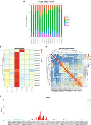Integrated driver mutations profile of chinese gastrointestinal-natural killer/T-cell lymphoma